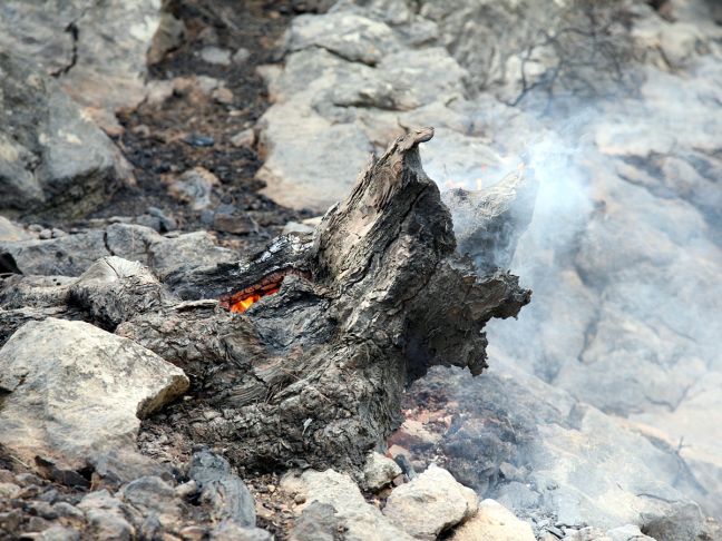 Προφυλακιστέος ο «Νέρωνας» της Χίου