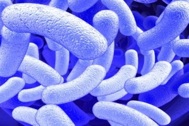 Μπορεί να μας προφυλάσσει από διαβήτη το H. pylori