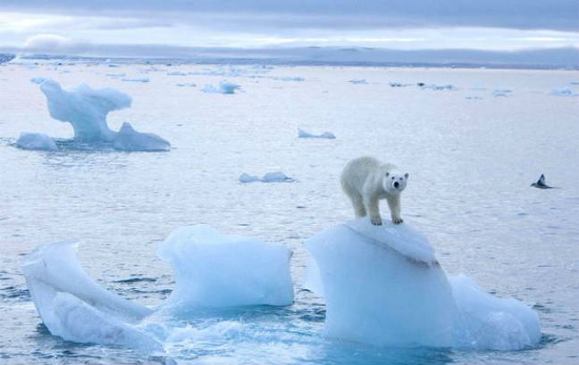 Δραματική η μείωση των πάγων της Αρκτικής