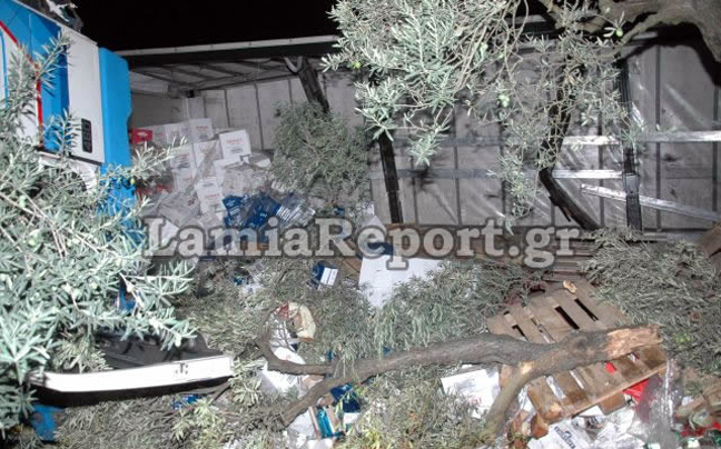 Εκτροπή νταλίκας εξαιτίας αδέσποτης… ρεζέρβας!