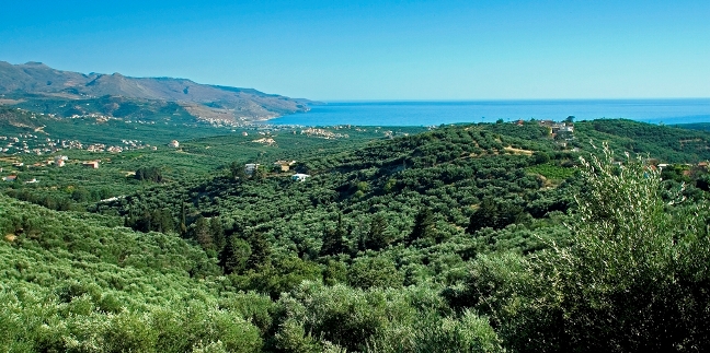 Διεθνές συνέδριο ελαιόλαδου στα Χανιά