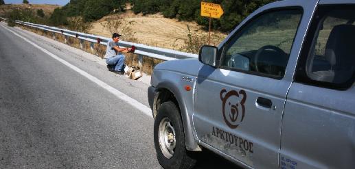 Ανακλαστήρες που σώζουν τις αρκούδες και τους λύκους