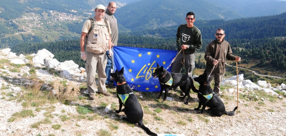 Ορεινές περιοχές γεμάτες δηλητηριασμένα δολώματα