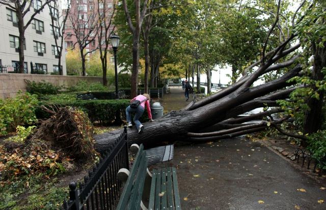 Στους 17 οι νεκροί από τον τυφώνα «Sandy»