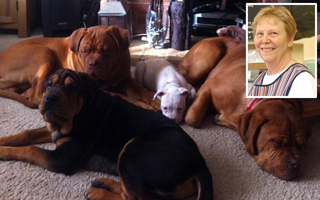 Πέθανε όταν της επιτέθηκαν τα σκυλιά της κόρης της