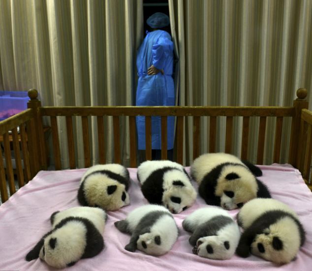 Ρεκόρ γεννήσεων πάντα στην Κίνα