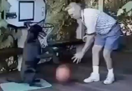 Ο σκύλος… μπασκετμπολίστας