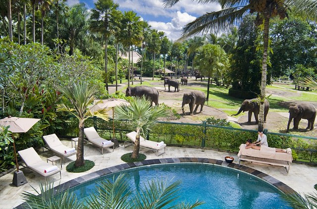 Το πάρκο των ελεφάντων