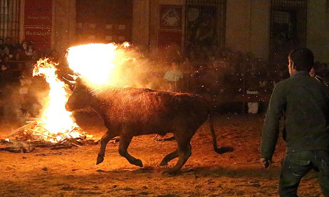 Διασκεδάζουν βασανίζοντας έναν ταύρο