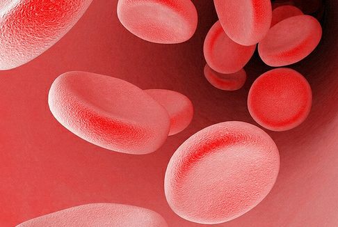 Ερευνητές εστίασαν στην ημερομηνία λήξης του αίματος