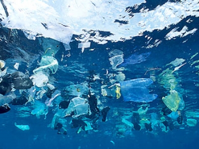 Τα πλαστικά πέφτουν στους ωκεανούς και εξαφανίζονται
