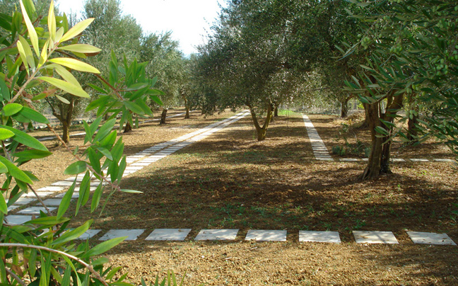 Κοιμητήριο μικρών ζώων στην Πελοπόννησο