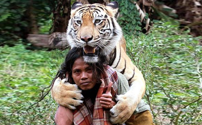 Έχει για καλύτερο του φίλο μια τίγρη