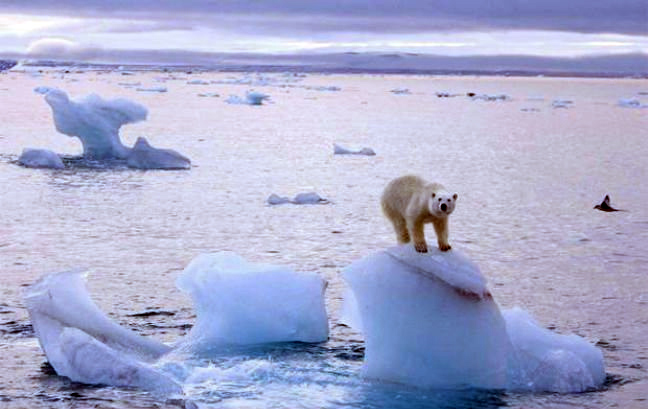Περιβάλλον: Οι πάγοι εξαφανίζονται με αυξανόμενο ρυθμό άνω των 1,3 τρισεκατομμυρίων τόνων ετησίως