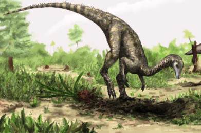 Οι δεινόσαυροι αναπτύσσονταν μέχρι να πεθάνουν