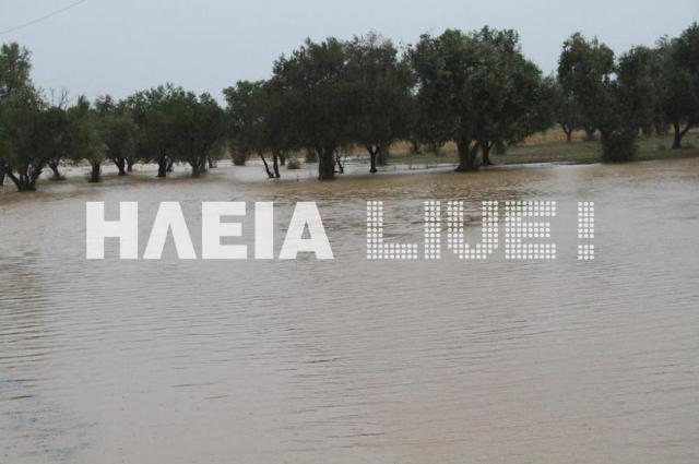 Πλημμύρισε η Γαστούνη από τη νεροποντή