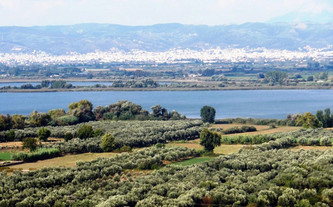 Πτώμα άνδρα επέπλεε σε λίμνη του Αγρινίου