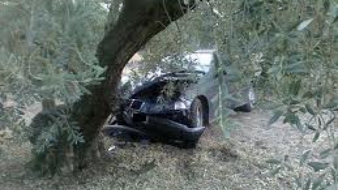 Το αυτοκίνητο «καρφώθηκε» στην ελιά, ο οδηγός βγήκε ζωντανός