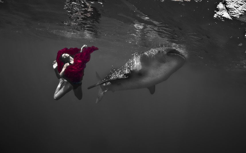 Μοντέλα ποζάρουν δίπλα σε φάλαινες – καρχαρίες