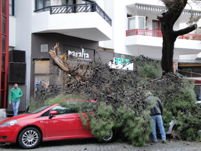 Οχήματα καταπλακώθηκαν από κλαδί δέντρου στην Ξάνθη