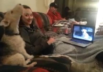 Σκυλιά τα… λένε μέσω Skype