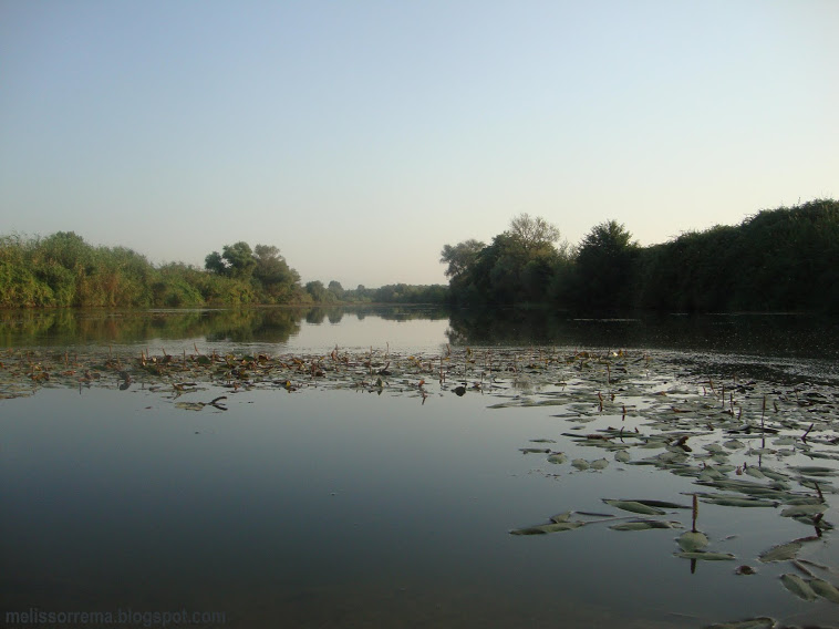 Αυξημένη στάθμη νερού σε ποταμούς της Ροδόπης