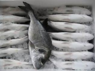 Περισσότερα ελληνικά ψάρια στα «μενού» σε Παρίσι και Βερολίνο