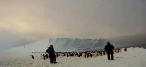 Ανακαλύφθηκε άγνωστη αποικία πιγκουίνων στην Ανταρκτική