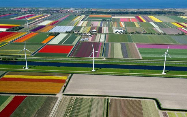 Οι τουλίπες της Ολλανδίας σε αεροφωτογραφίες