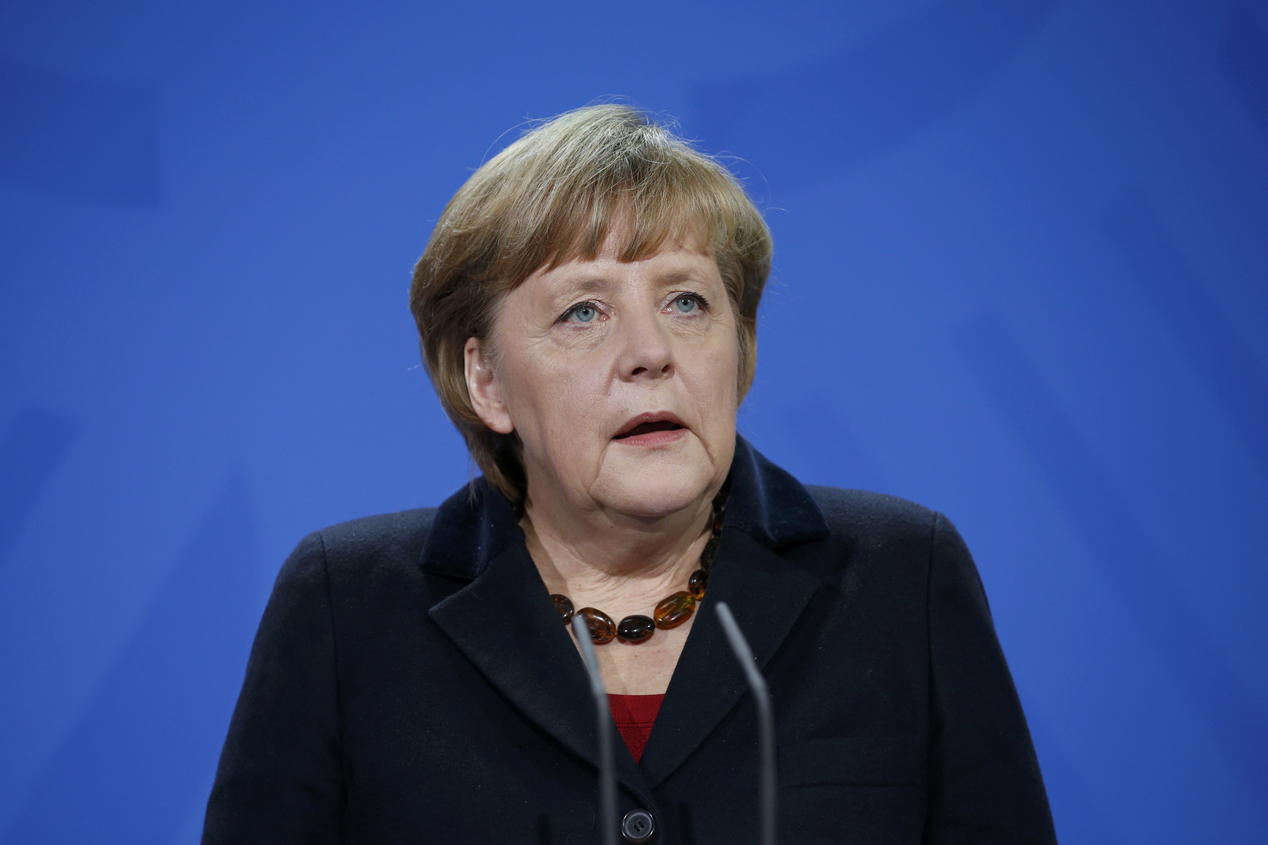 Τέλη Μαρτίου αποφασίζει το Βερολίνο για το ακροδεξιό κόμμα