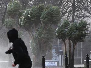 Πτώσεις δέντρων από ισχυρούς ανέμους στη Θεσσαλονίκη