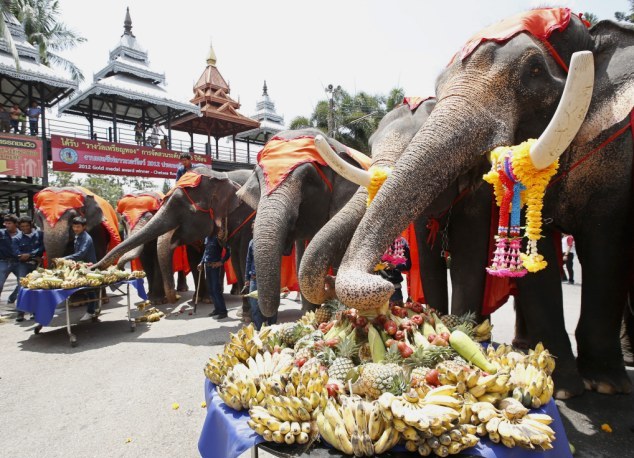 Οι ελέφαντες έχουν τη δική τους γιορτή στην Ταϊλάνδη