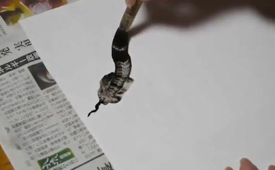 Ζωγράφισε φίδι με μία και μόνο πινελιά