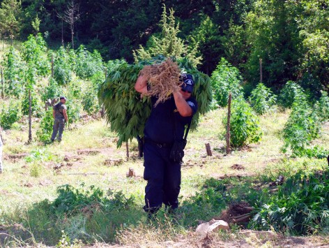 Αναβλήθηκε στο Εφετείο η δίκη του «πιστολέρο» κτηνοτρόφου