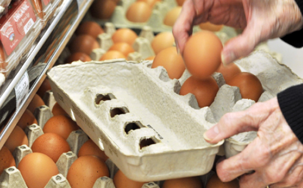 Διεξοδικοί έλεγχοι στην εμπορία αυγών από το Αγροτικής Ανάπτυξης