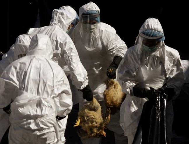 Πρώτο κρούσμα του ιού H7N9 της γρίπης των πτηνών στην Ταϊβάν