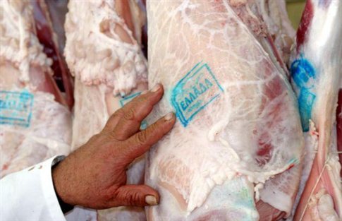 Κτηνοτρόφοι: Αμνοερίφιο κάτω των 6 ευρώ το κιλό δεν πουλάμε