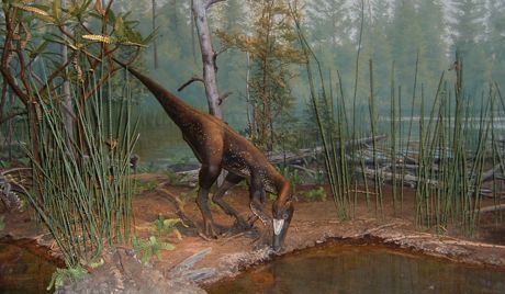Δεινόσαυρος-ληστής ανακαλύφθηκε στη Μαδαγασκάρη