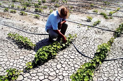 Προβλήματα από την ανομβρία στα Χανιά