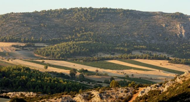 Φόρος στα αγροτεμάχια με βάση τη χρήση και την περιοχή