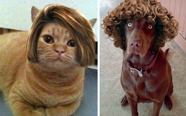 «Κουτί» τους ήρθε η κουπ