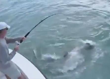 Το μεγάλο ψάρι τρώει το μικρό&#8230;