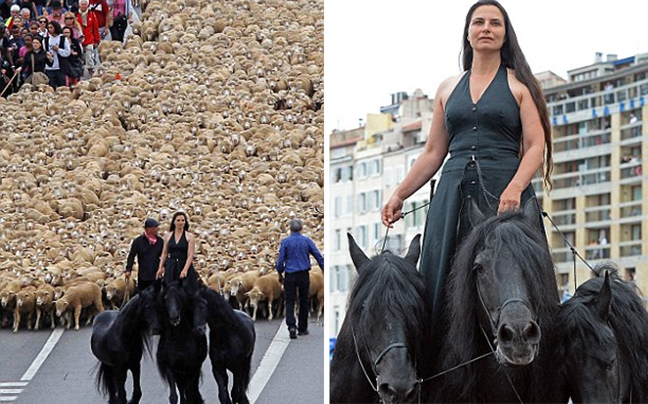 «Παρέλαση» στην Προβηγκία με άλογα και πρόβατα