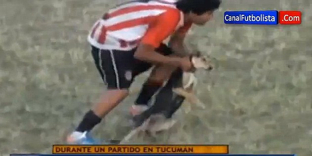 Ποδοσφαιριστής πιάνει σκύλο από το λαιμό και τον πετά έξω από το γήπεδο