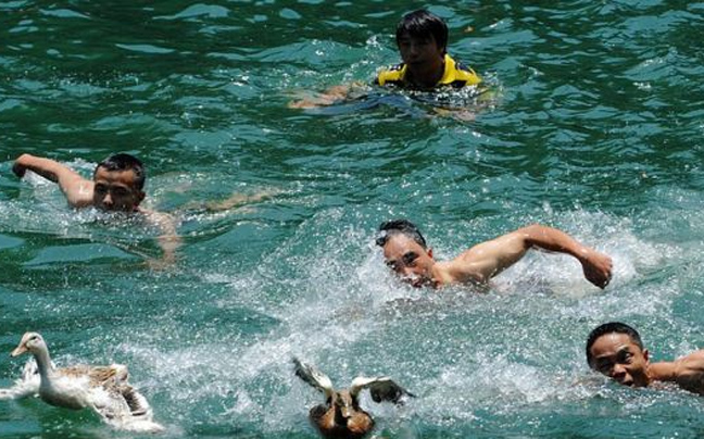 Διαγωνισμός με έπαθλο το γεύμα ενός&#8230; πουλιού!