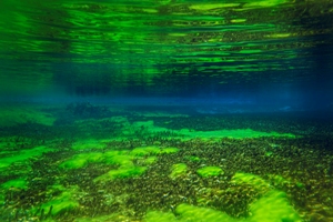 Υποβρύχιες φωτογραφίες της καθαρότερης λίμνης στον κόσμο
