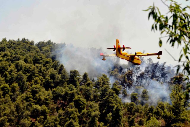 Πυρκαγιά στα Πολιτικά Ευβοίας