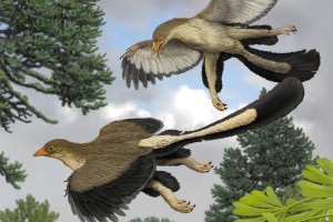 Δεινόσαυροι είχαν εγκέφαλο πτηνού πολύ πριν πετάξουν