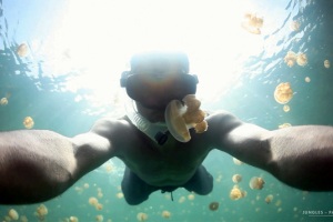Άνδρας κολυμπά σε λίμνη με 13 εκατομμύρια μέδουσες