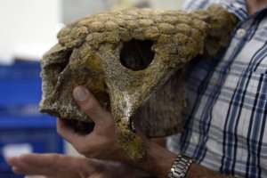 Κροκόδειλος και άλλα ευρήματα που θυμίζουν… Τζουράσικ Παρκ